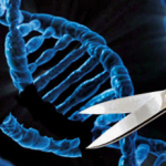 “유전자 편집 기술 CRISPR: 생명과학의 혁신과 윤리적 고려사항”