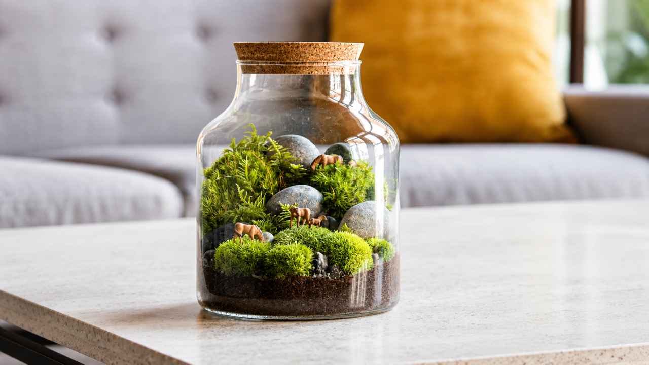 Create Beautiful Mini Terrariums for Stylish Modern Home Decor Ideas