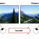 Foveated Rendering Brings Sharper Graphics Where Your Eyes Look