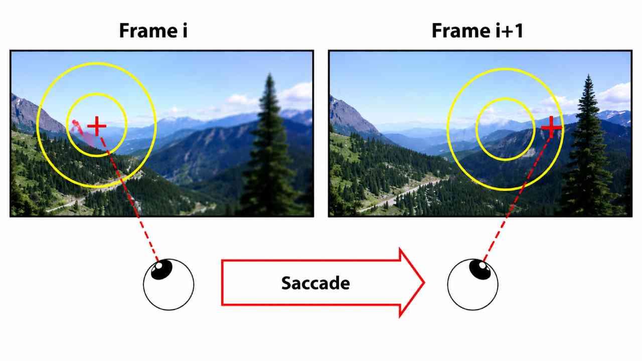 Foveated Rendering Brings Sharper Graphics Where Your Eyes Look