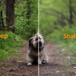 Synthetic Depth of Field Is Changing How Cameras Control Focus