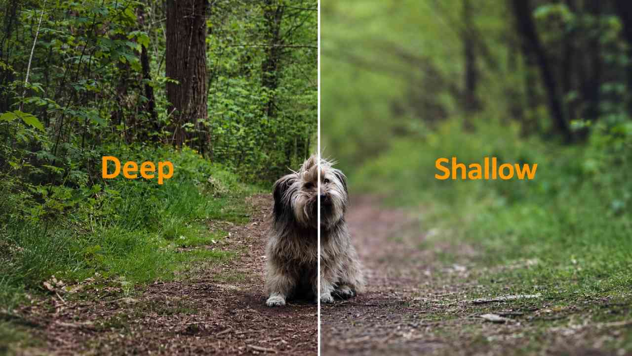 Synthetic Depth of Field Is Changing How Cameras Control Focus
